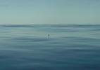 calm.jpg