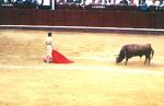 corrida1.jpg