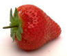 fragola.jpg