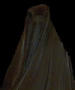 niqab.jpg